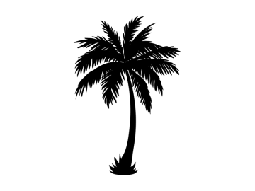 Muursticker palmboom silhouette 02