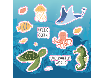 Stickervel onderwater 01