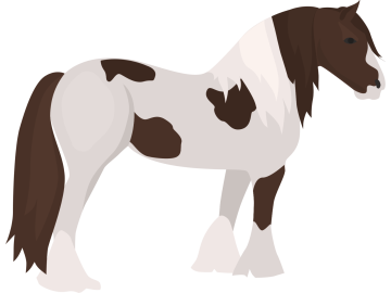 Muursticker gevlekt paard