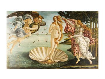 Muursticker de geboorte van venus