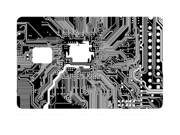 Pinpas microchip wit