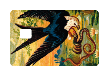 Pinpas adelaar en slang